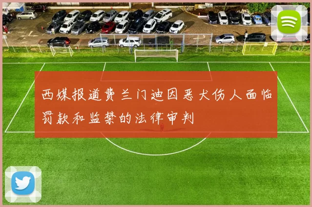 西媒报道费兰门迪因恶犬伤人面临罚款和监禁的法律审判
