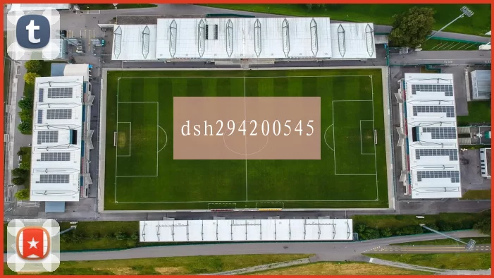 dsh294200545